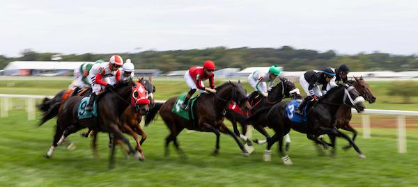 Triple Crown, Preakness, Laurel Park, horse racing, America's Best Racing, ABR